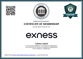 Exploring the Benefits of Exness Web Platform for Traders
